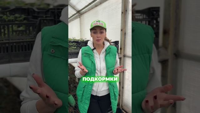 Возвратные заморозки: полезные советы для садоводов ❄️