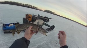 Закрытие зимнего сезона.С 20 марта щуку ловить нельзя .Киноочерк