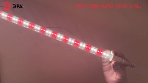 Фитолампа для растений светодиодная ЭРА FITO-18W-Ra90-Т8-G13-NL полного спектра 18 Вт Т8 G13