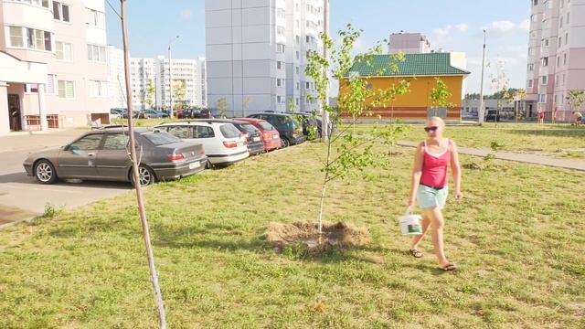 Спасать от жары в эти дни приходится не только людей но и деревья