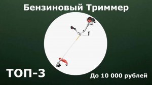 ТОП-3. Бензиновый триммер до 10 000 рублей