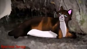 Коты - Воители Медобока и Ягодник.