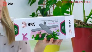 Фитолампа для растений светодиодная ЭРА FITO-36W-RB-E27-FOLD 4-х лепестковая красно-синего спектра
