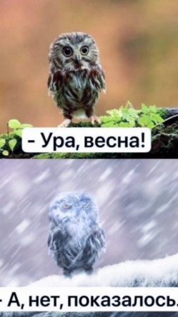 весн...