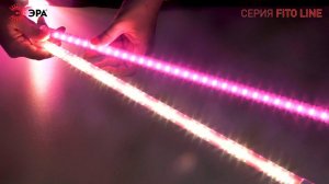 Модульные светильники для растений ЭРА FITO-3х10W-LINE 30 вт