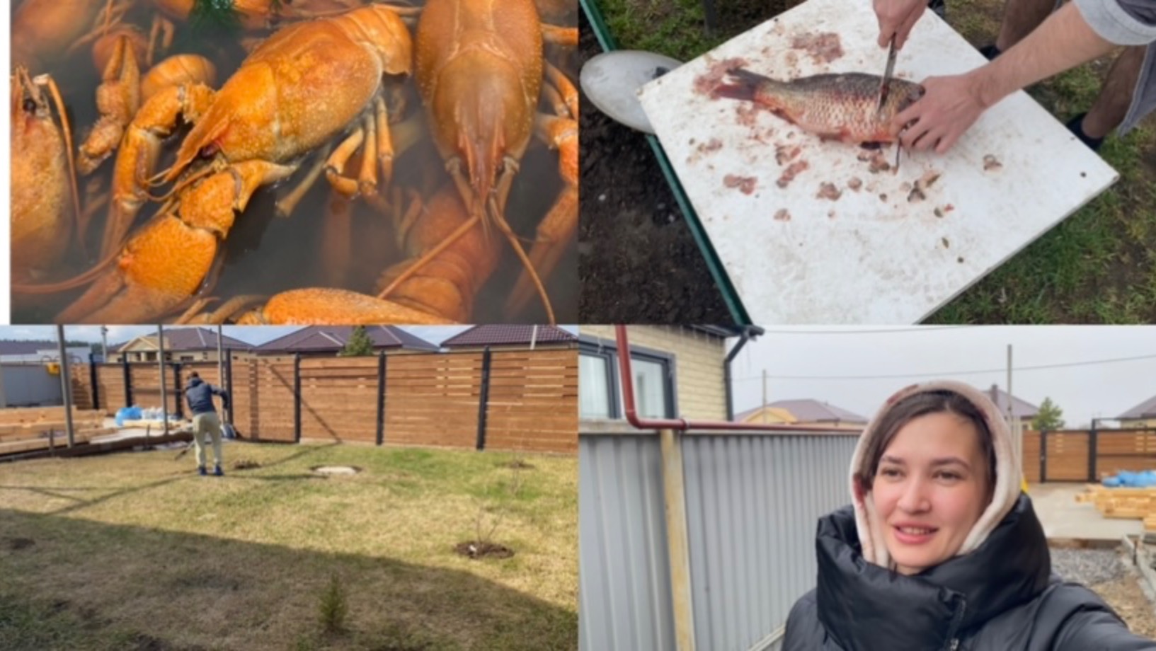 КУПИЛИ РАКОВ🔥 РУБИМ САЗАНА// СВЕЖЕЕ УТРО// ЧИЩУ ГАЗОН смотреть онлайн