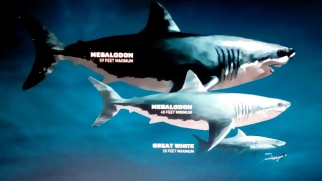 Рассказываю о МЕГАЛОДОНЕ смотреть онлайн