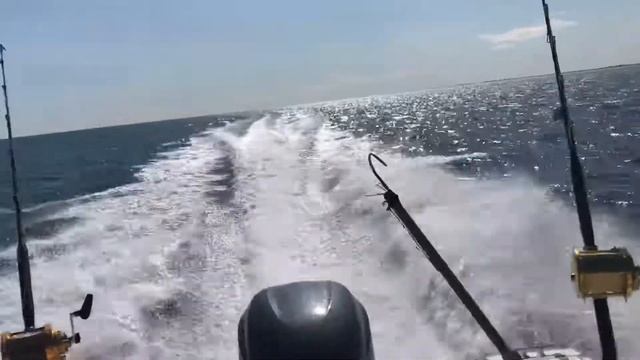 Bateau White Shark 236 a 40 noeuds смотреть онлайн