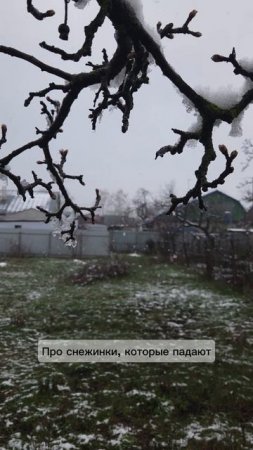 Созерцание- та же медитация
