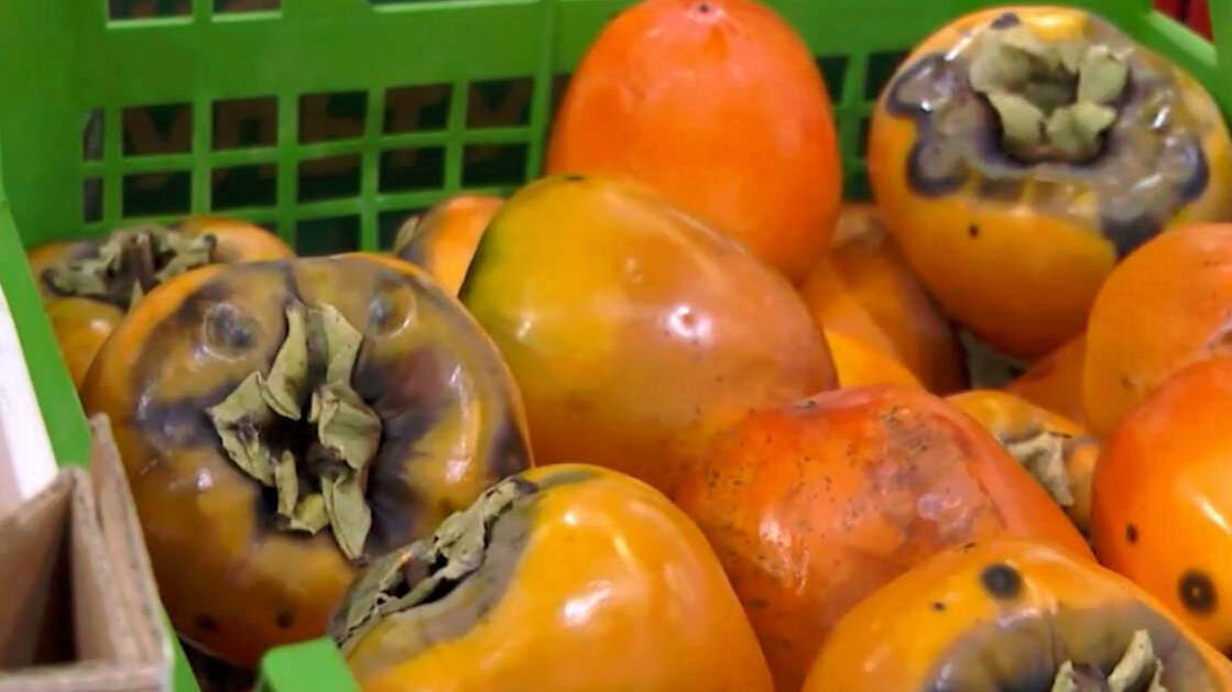Торговля тухлыми продуктами: в "Магнолии" нашли новые нарушения после проверок