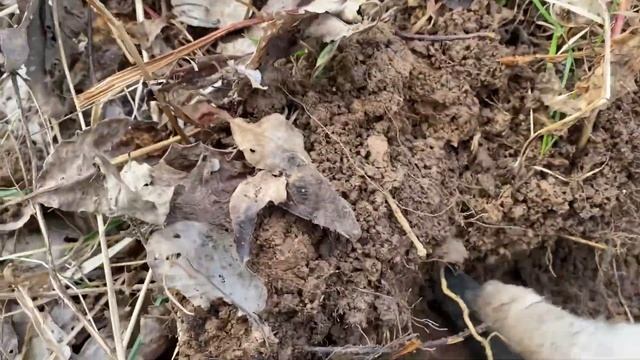 Металлокоп #1. Мой первый выход в поле. Открываем сезон 2023 года. смотреть онлайн