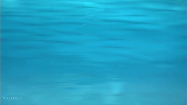 Breaking Bad ｜ Fifty-One ｜ Pool ｜ Ambient Soundscape