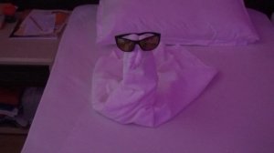 SUNSET BEACH HOTEL. ALANYA TURKEY. (ИНТЕРЕСНЫЕ ЛЕБЕДИ). vol.14