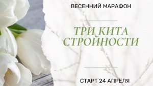 3 кита стройности