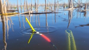 ЗАБРАЛСЯ В ЛОГОВО РЕАЛЬНЫХ КАРАСЕЙ. Рыбалка на поплавок