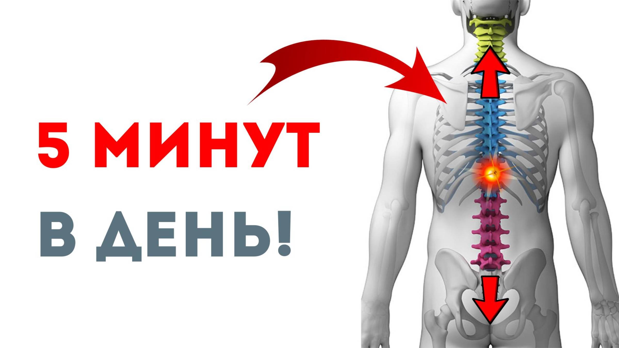 СПАСИ ПОЗВОНОЧНИК - Дай ПИТАНИЕ ДИСКАМ!