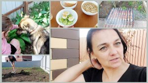 230 РАБОТА НА УЧАСТКЕ. ПЕРЕСАДИЛА  ГОЛУБИКУ. ЗАКАЗАЛИ ТЕПЛИЦУ. ЖАРИМ КУПАТЫ.