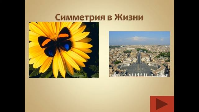 Презентация Движение  Виды движения