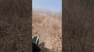 Прогулка Эндуро город Находка