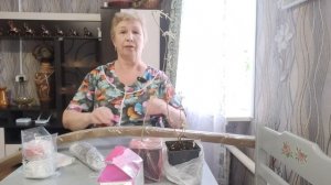 Засажу весь огород саженцами.