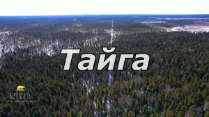 ТАЙГА!! Красота Сибири!!