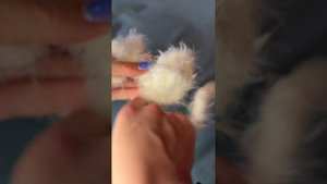 Инструкция по сборочке от BALORI для артикула: 340956335