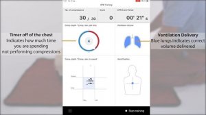 Манекен для реанимации СЛР Brayden