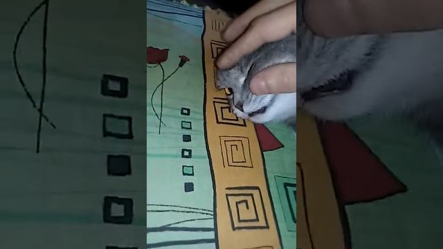Лики смерти стерелизация кошки