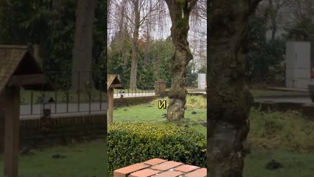 СТЭТХЕМ: 'Водка — мой новый тренер по фулл-контакту'   Когда брутальные удары заменяют коктейли