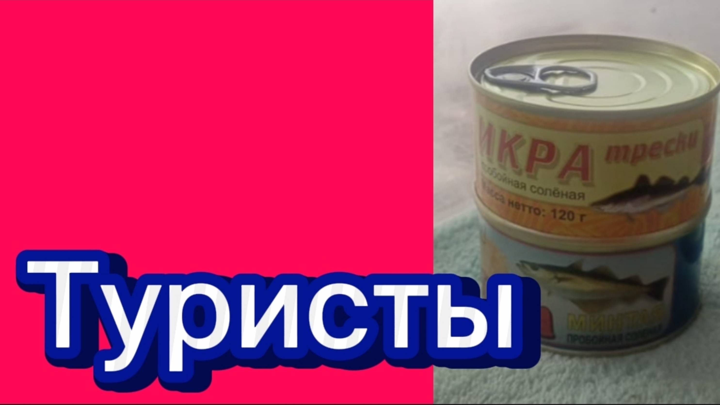ДЕРЕВЕНСКИЙ ДНЕВНИК. "ТУРИСТЫ"
