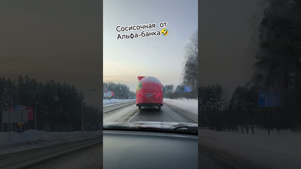 Чего только не встретишь на дороге  #7отличий #live #дорога #надороге #road #roadtrip  #car