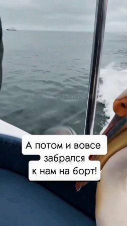 Даже такое бывает 😂😂😂