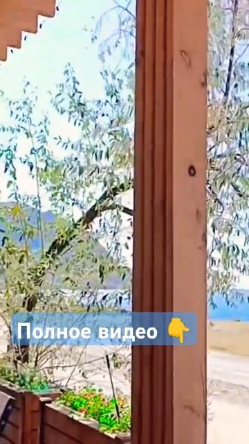 Крымские чебуреки #бабушка_блогер #меганом #море #судак #отдых #деревенскаябабушкаблогер #отпуск