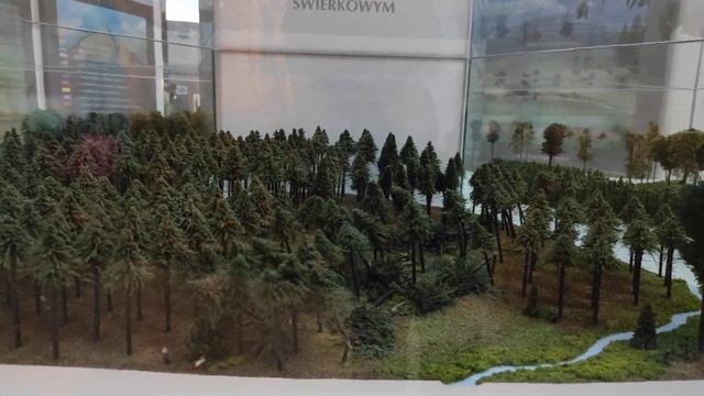 круговорот жизни леса смотреть онлайн