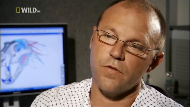 Nat Geo Wild. Доисторические хищники. Саблезубый тигр.