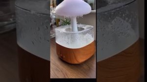 Rain Cloud humidifier rating and review