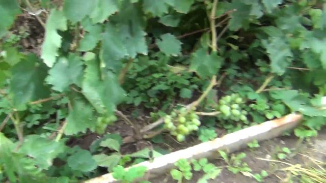 Идем к закрытию сезона-22. Что делаем смотреть онлайн