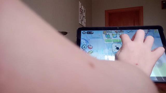 pets go