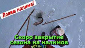 Скоро закрытие сезона на Налима