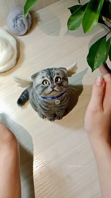 Вот такой котя появился на днях 🐱💖
Несколько моментов из процесса🐾

#сухоеваляние #котик