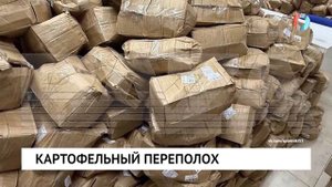 Картофельный переполох