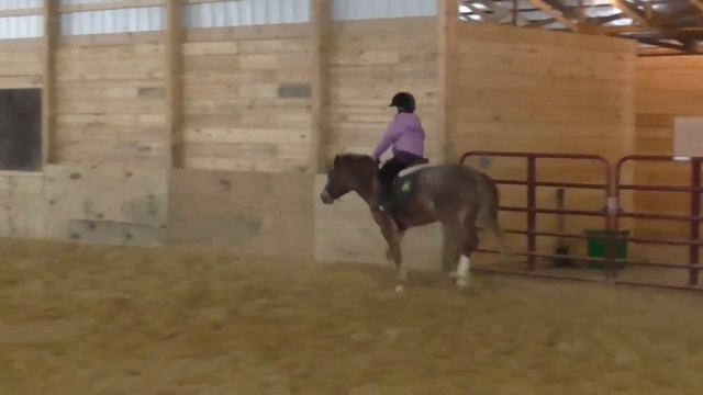 Tara cantering on Jasmine 1/25/14 смотреть онлайн