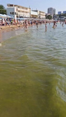 Анапа в конце июля. Количество водорослей в море на песчаном пляже увеличивается. Понедельник 22.07.