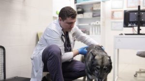 Клинический осмотр  - важно ли это?