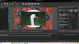 VSDC. Урок 20. Как поместить видео внутрь круга | Простой способ! #vsdc