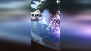 Свет заката и шелест листьев: видео для внутренней тишины | SeaBreeze Escapes