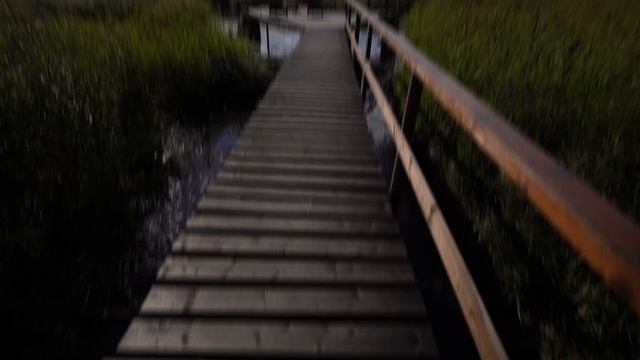 дом 🏡 36 кв м смотреть онлайн