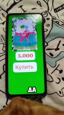 ТГК:Симбочка милочка 🐱😸😻
