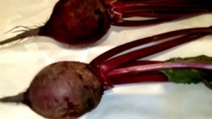 СОСУДЫ, НЕРВЫ, ПЕЧЕНЬ, ЩИТОВИДКУ, ЗРЕНИЕ - БОТВА СВЕКЛЫ. НАРОДНАЯ МЕДИЦИНА