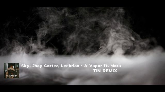Sky ✖Jhay Cortez✖ Leebrian - A Vapor ft. Mora FIESTERO REMIX (Tin Remix) смотреть онлайн